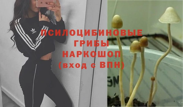PSILOCYBIN Карталы
