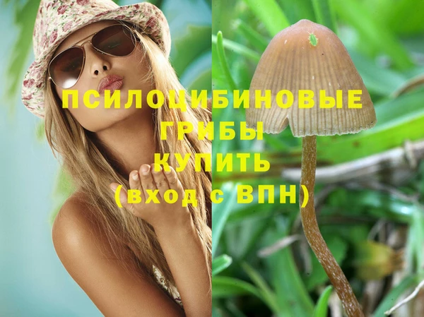 PSILOCYBIN Карталы
