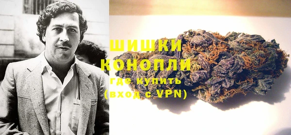 PSILOCYBIN Карталы