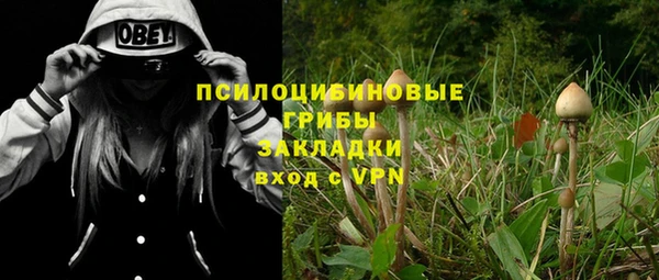 мдпв Касимов