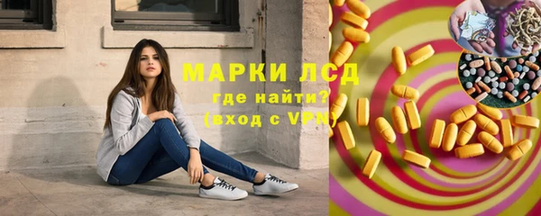 PSILOCYBIN Карталы